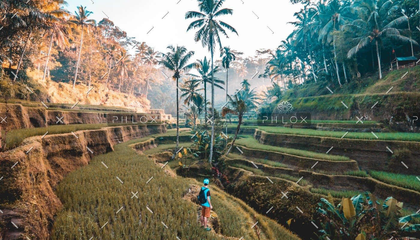 demo-attachment-400-jamie-fenn-WdQuEEJe-O0-unsplash-1